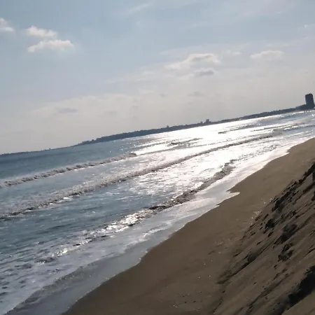 Ясен В * Слънчев бряг